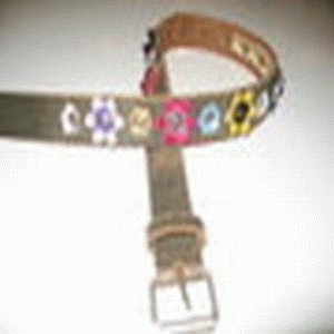 Cowboysbelt